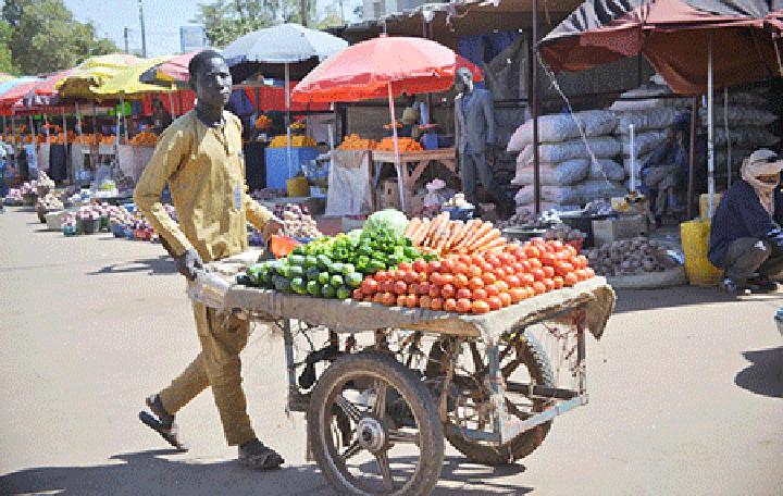 Après une campagne agricole 2020-2021 déficitaire : Des initiatives diverses face à l’insécurité alimentaire au Niger