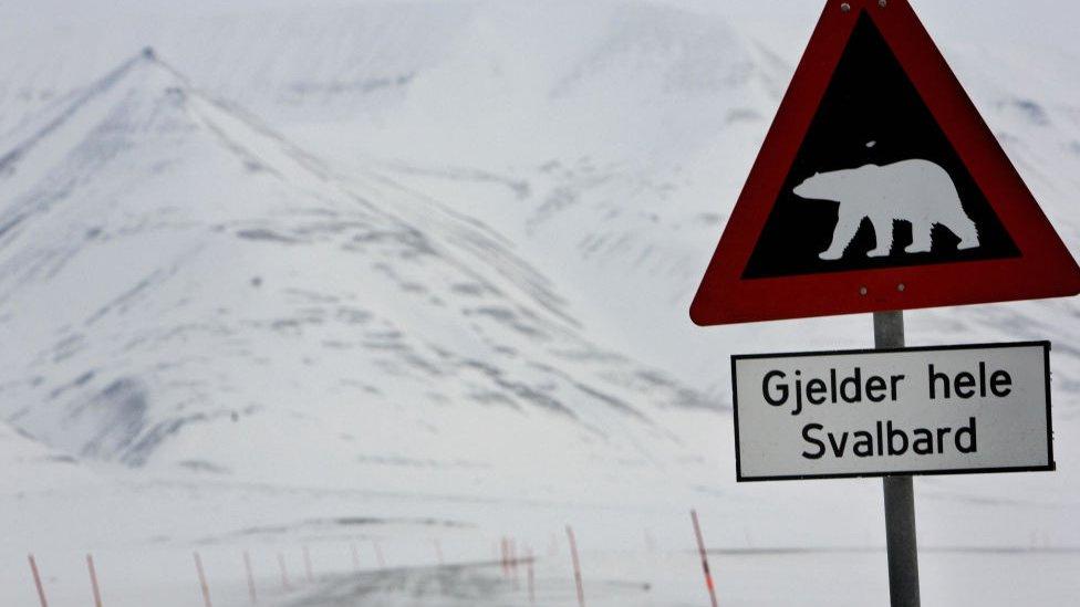 Découverte : 4 endroits fascinants endroits où les humains ne peuvent pas mettre les pieds Découverte : 4 endroits fascinants endroits où les humains ne peuvent pas mettre les pieds