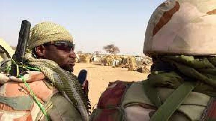Niger : Lac Tchad, une quarantaine de Boko Haram éliminés par l'armée