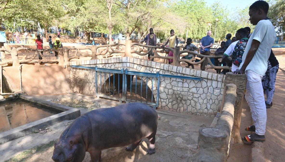 Ambiance à Niamey autour de la fête de Ramadan ou l’Aïd el Fitr Ambiance à Niamey autour de la fête de Ramadan ou l’Aïd el Fitr