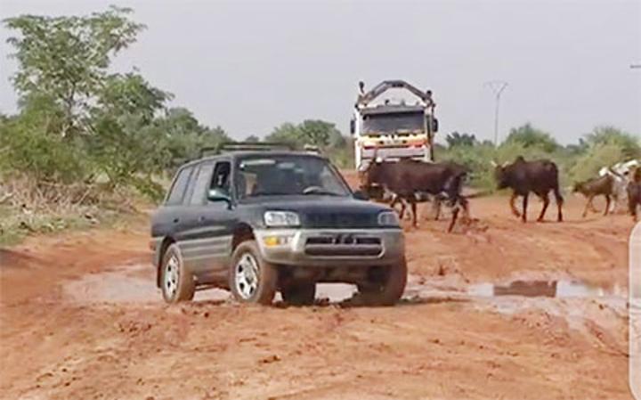 Dosso/Village de Mokko : Quand l’état de la route impacte les activités d’un marché à bétail de renom Dosso/Village de Mokko : Quand l’état de la route impacte les activités d’un marché à bétail de renom
