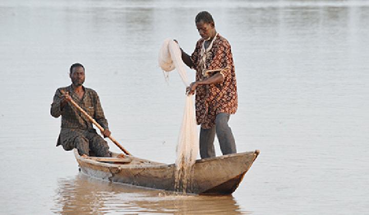 Pratique de la pêche aux alentours du fleuve Niger : L’ensablement constitue un obstacle aux pêcheurs de Niamey Pratique de la pêche aux alentours du fleuve Niger : L’ensablement constitue un obstacle aux pêcheurs de Niamey
