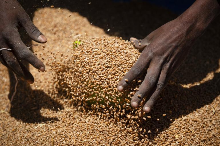 Crise alimentaire : où en est vraiment l'Afrique ? Crise alimentaire : où en est vraiment l'Afrique ?