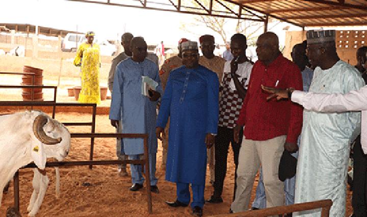 Visite du ministre en charge de l’Elevage dans plusieurs fermes avicoles et pastorales : M. Tidjani Idrissa AbdoulKadri impressionné par les investissements réalisés et encourage les producteurs Visite du ministre en charge de l’Elevage dans plusieurs fermes avicoles et pastorales : M. Tidjani Idrissa AbdoulKadri impressionné par les investissements réalisés et encourage les producteurs