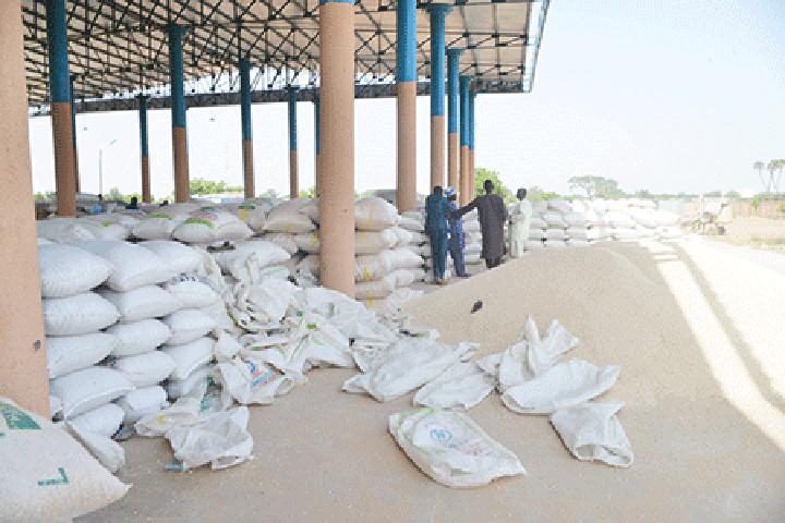 Produits agricoles : Stabilité des prix des céréales au cours de la semaine du 23 au 29 novembre 2022 Produits agricoles : Stabilité des prix des céréales au cours de la semaine du 23 au 29 novembre 2022