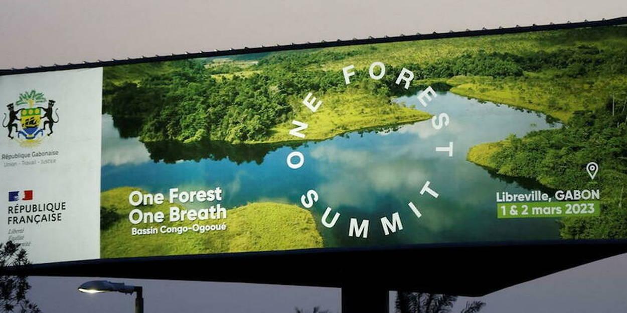 Comment le Gabon entend prendre le leadership écologique en Afrique Comment le Gabon entend prendre le leadership écologique en Afrique