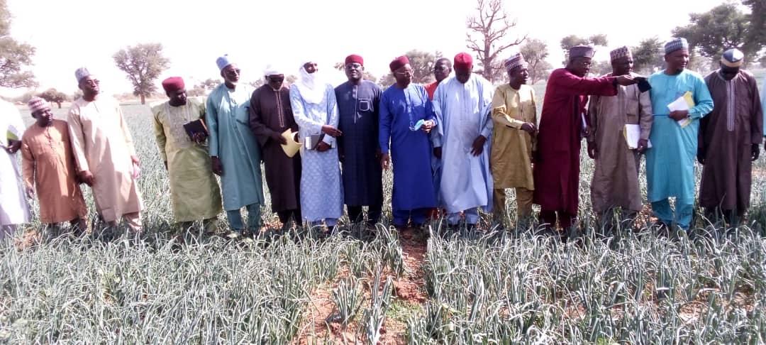 Tahoua : Le Ministre de l'Agriculture visite les sites des cultures d'oignon et de tomate à Dogaraoua et Madaoua Tahoua : Le Ministre de l'Agriculture visite les sites des cultures d'oignon et de tomate à Dogaraoua et Madaoua