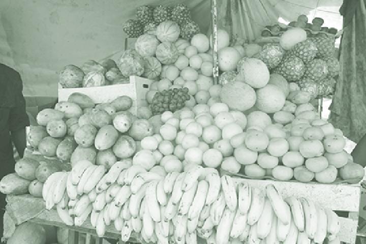 Marchés agricoles : Augmentation des prix des produits horticoles au cours de la semaine du 22 au 28 mars Marchés agricoles : Augmentation des prix des produits horticoles au cours de la semaine du 22 au 28 mars