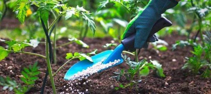 Afrique : l’AFFM soutient ses efforts de mobilisation des ressources Afrique : l’AFFM soutient ses efforts de mobilisation des ressources