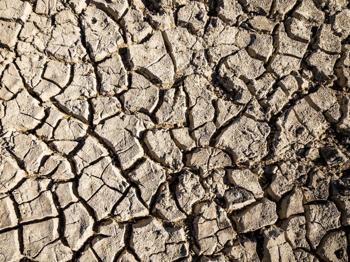 Eau : pourquoi l'état des nappes phréatiques est inquiétant Eau : pourquoi l'état des nappes phréatiques est inquiétant