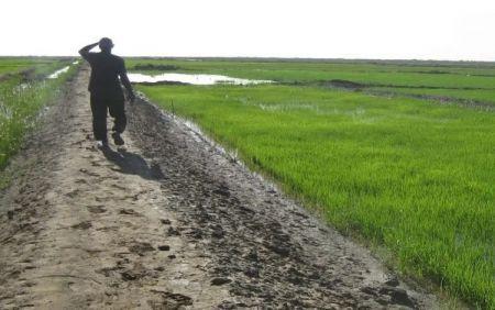 l’exécutif reçoit un soutien financier de 8,7 millions $ du Japon au profit du secteur agricole l’exécutif reçoit un soutien financier de 8,7 millions $ du Japon au profit du secteur agricole
