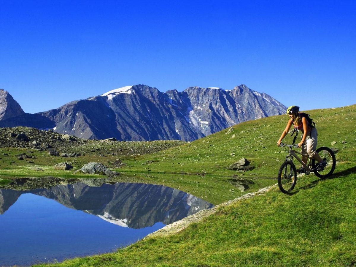Combien le vélo sauve-t-il de vies chaque année ? Combien le vélo sauve-t-il de vies chaque année ?