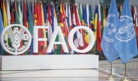 Entre 2012 et 2021, l’Afrique a enregistré la plus forte croissance de la valeur ajoutée agricole dans le monde (FAO) Entre 2012 et 2021, l’Afrique a enregistré la plus forte croissance de la valeur ajoutée agricole dans le monde (FAO)