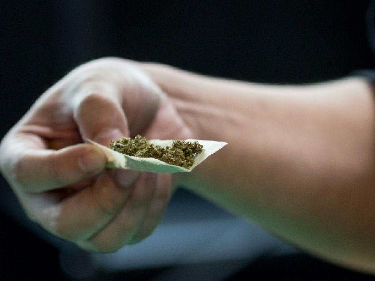 Cannabis de synthèse : une interdiction d'ici à quelques semaines, dit le ministre de la Santé Cannabis de synthèse : une interdiction d'ici à quelques semaines, dit le ministre de la Santé