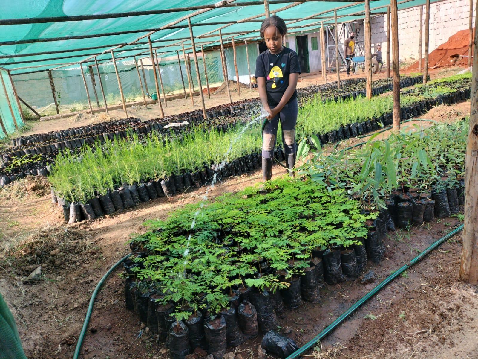 Afrique : « le rôle des jeunes dans l'atténuation des changements climatiques est important » Afrique : « le rôle des jeunes dans l'atténuation des changements climatiques est important »