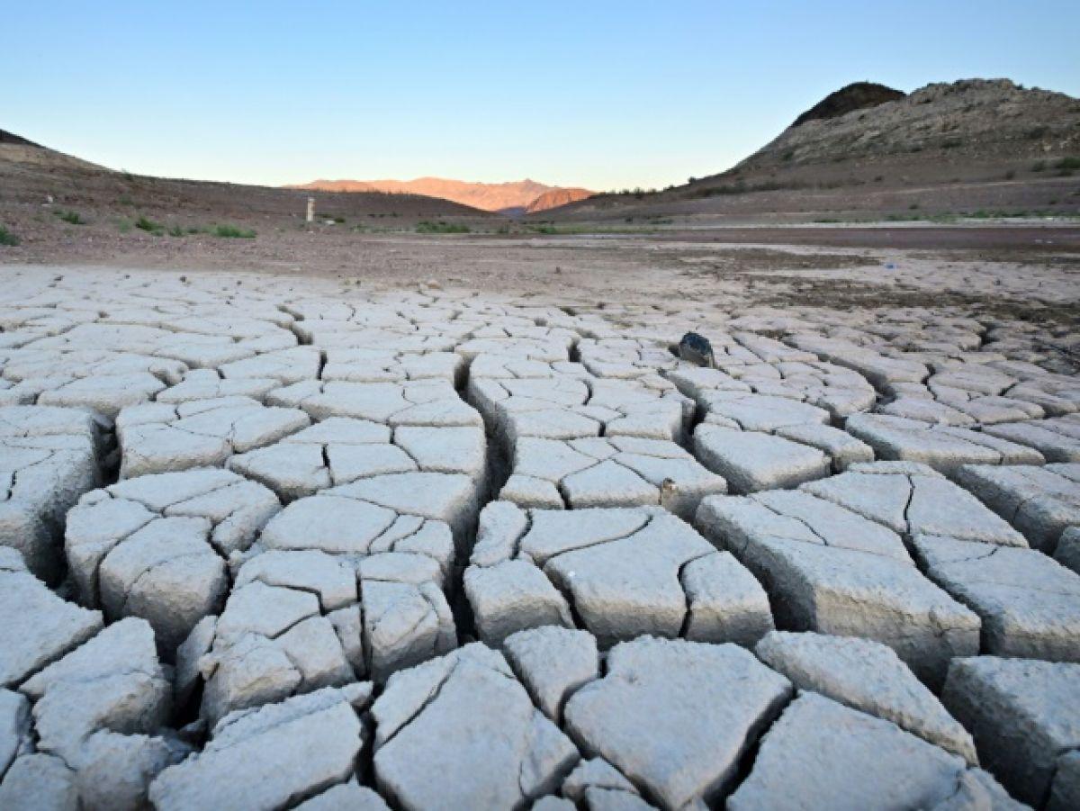 La moitié des lacs et réservoirs du monde perdent de l'eau La moitié des lacs et réservoirs du monde perdent de l'eau