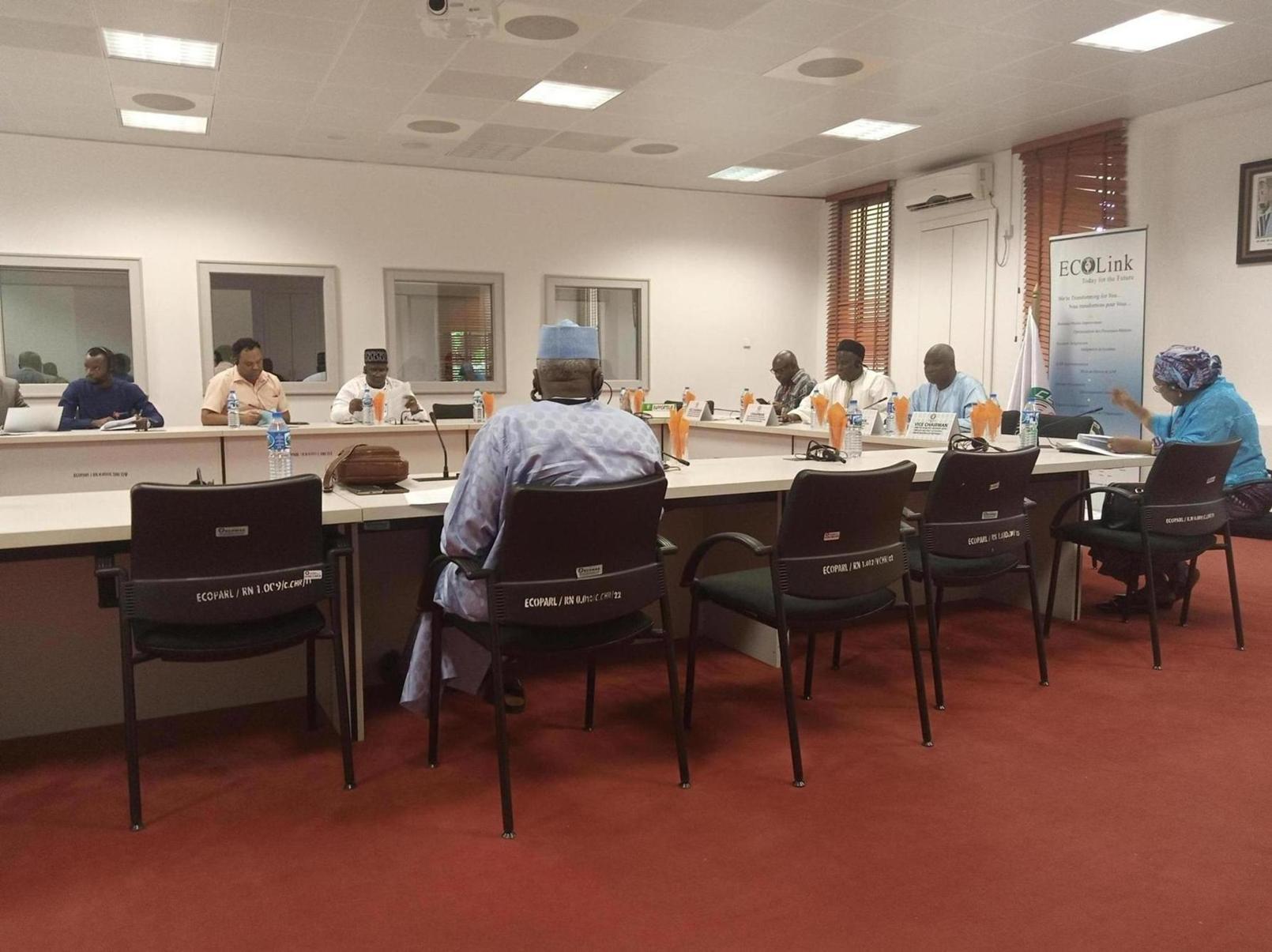 Parlement de la CEDEAO : Le rapport sur la fiscalité, la douane et le programme monétaire régional adopté par une des commissions mixtes Parlement de la CEDEAO : Le rapport sur la fiscalité, la douane et le programme monétaire régional adopté par une des commissions mixtes