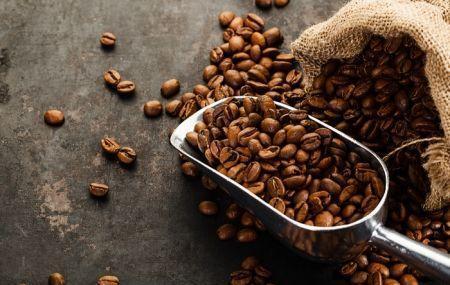 Café : la consommation africaine a atteint un niveau record en 2021/2022 Café : la consommation africaine a atteint un niveau record en 2021/2022