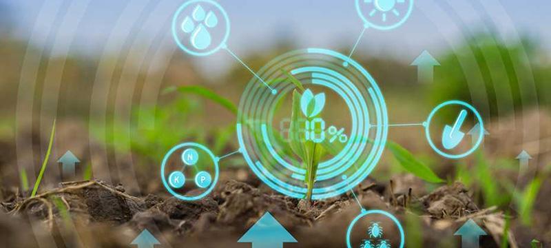 L’Afrique, continent le moins productif L’Afrique, continent le moins productif