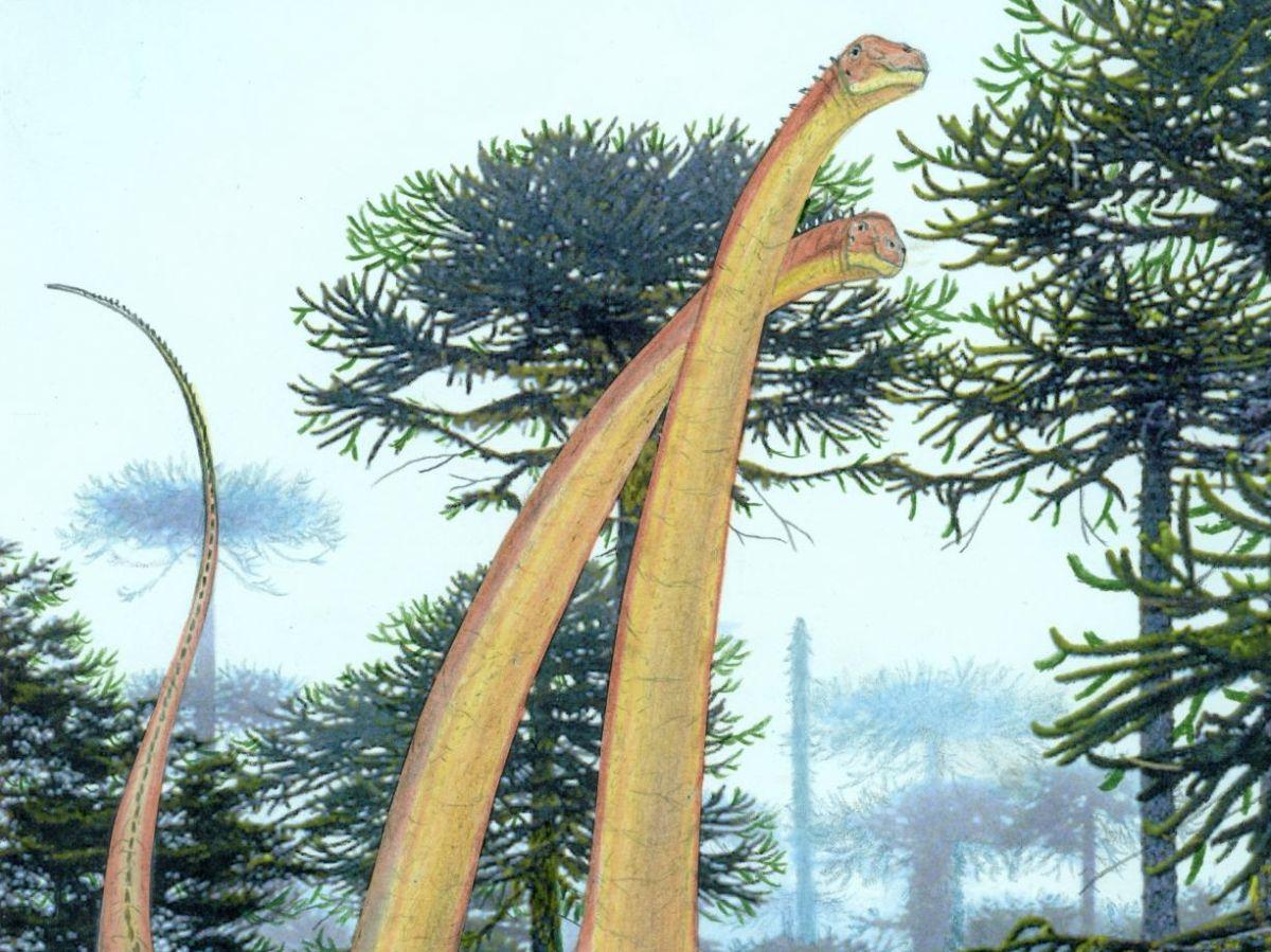 Des dinosaures aussi gros que des baleines ? Des dinosaures aussi gros que des baleines ?