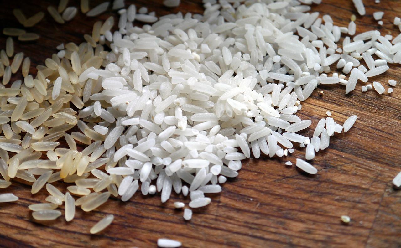 L'Afrique, grand consommateur de riz toujours importé L'Afrique, grand consommateur de riz toujours importé