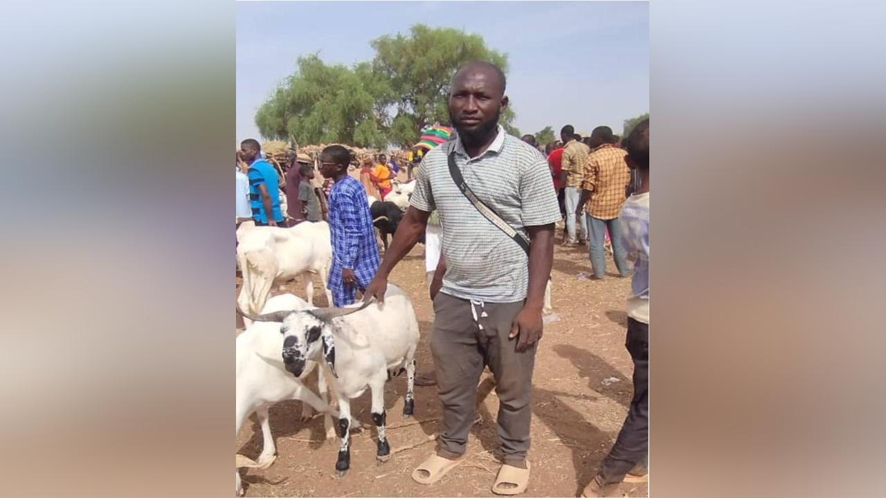 Tillabéri / Marché hebdomadaire de bétail de Kollo : Un carrefour par excellence pour les marchands de bétail de la commune Tillabéri / Marché hebdomadaire de bétail de Kollo : Un carrefour par excellence pour les marchands de bétail de la commune