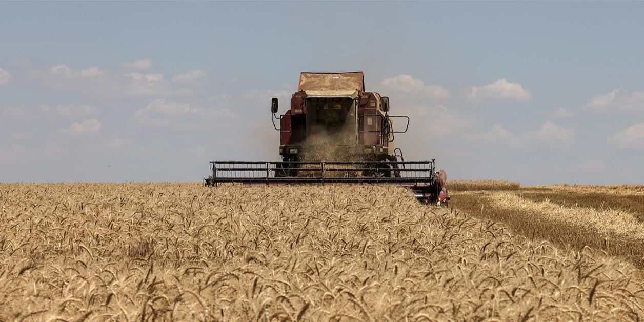 Après la suspension de l’accord sur les céréales ukrainiennes, péril sur les prix des denrées alimentaires en Afrique Après la suspension de l’accord sur les céréales ukrainiennes, péril sur les prix des denrées alimentaires en Afrique