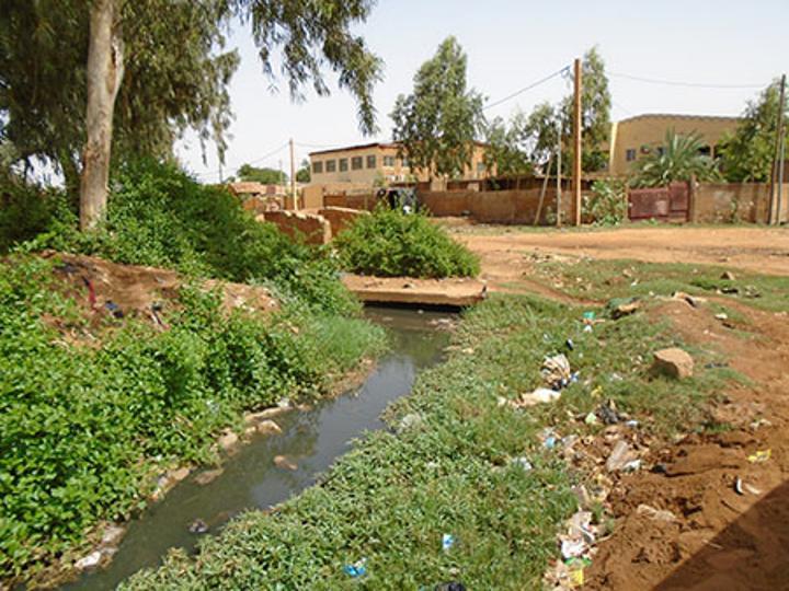 Assainissement en milieu urbain : Un moyen efficace pour lutter contre le paludisme Assainissement en milieu urbain : Un moyen efficace pour lutter contre le paludisme