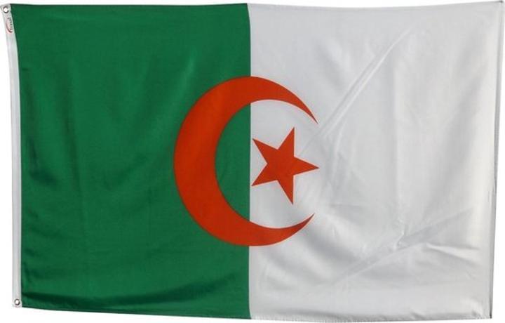 Sanctions de la CEDEAO contre le Niger : l'Algérie met en garde contre toute intervention militaire dans le pays Sanctions de la CEDEAO contre le Niger : l'Algérie met en garde contre toute intervention militaire dans le pays