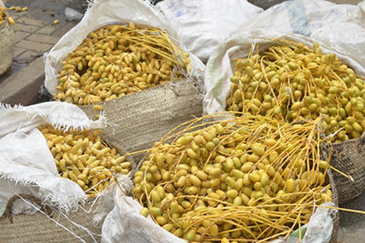 Vente des produits saisonniers à Niamey : Les revendeurs tirent leur épingle du jeu Vente des produits saisonniers à Niamey : Les revendeurs tirent leur épingle du jeu