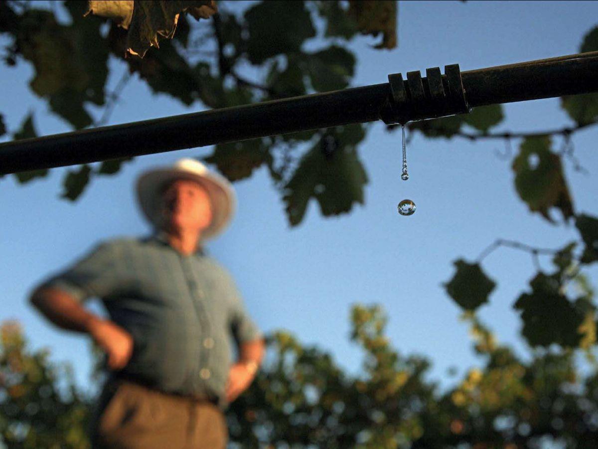 Agriculture : des innovations pour cultiver mieux avec moins d'eau Agriculture : des innovations pour cultiver mieux avec moins d'eau
