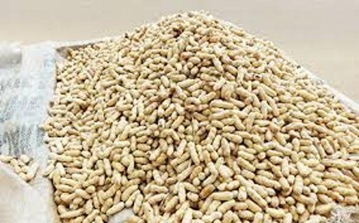 Embargo CEDEAO : La fermeture des frontières commence à peser des deux côtés Embargo CEDEAO : La fermeture des frontières commence à peser des deux côtés