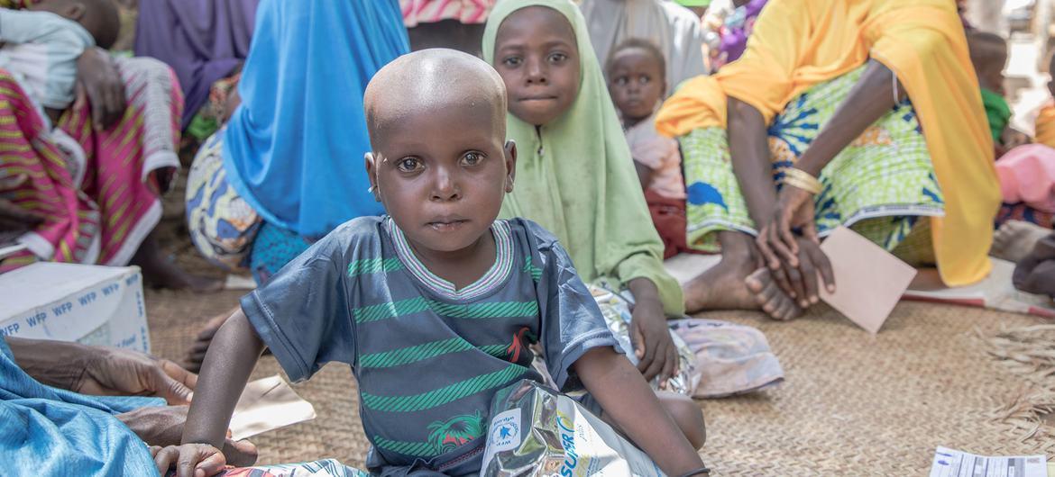Le Togo soutient l'accès à l'aide humanitaire au Niger à la demande des Nations Unies Le Togo soutient l'accès à l'aide humanitaire au Niger à la demande des Nations Unies