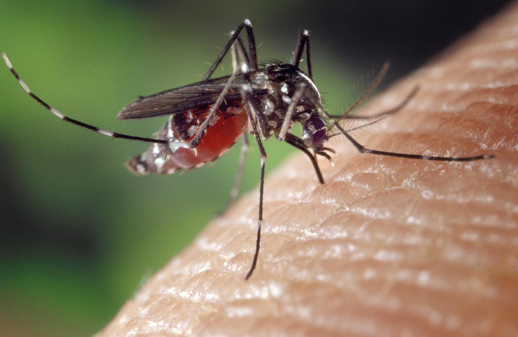 Les dirigeants d’Afrique lancent l’alerte d'une situation d’urgence face au paludisme Les dirigeants d’Afrique lancent l’alerte d'une situation d’urgence face au paludisme