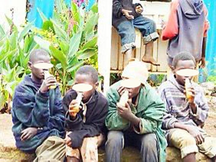 Santé/ Consommation des substances psycho actives : Quand la disponibilité et l’accessibilité des produits exposent les jeunes à Niamey Santé/ Consommation des substances psycho actives : Quand la disponibilité et l’accessibilité des produits exposent les jeunes à Niamey