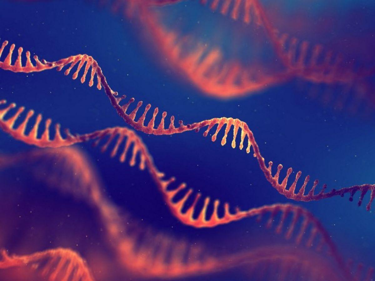 Origine de la vie : de l'inerte au vivant, un passage mystérieux Origine de la vie : de l'inerte au vivant, un passage mystérieux