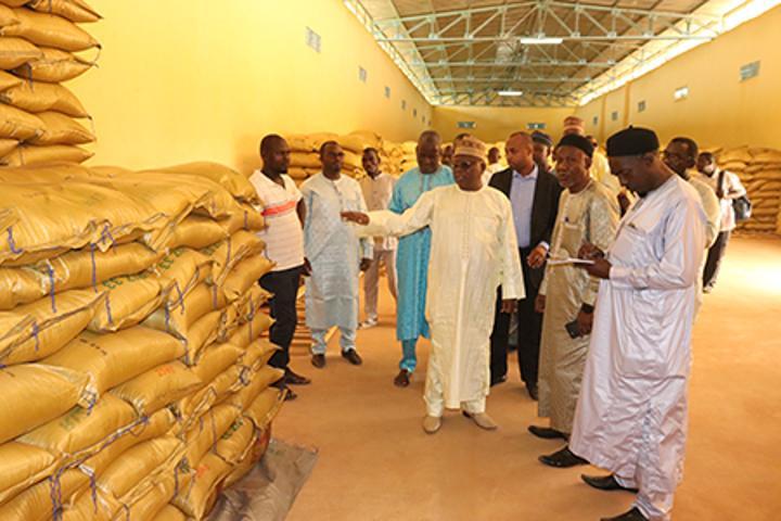 Demande en riz au Niger : La nécessité d’intensifier la production locale pour couvrir les besoins du pays Demande en riz au Niger : La nécessité d’intensifier la production locale pour couvrir les besoins du pays