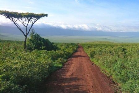 L’Afrique doit repenser la gestion de ses ressources naturelles pour éviter des conséquences socioéconomiques négatives L’Afrique doit repenser la gestion de ses ressources naturelles pour éviter des conséquences socioéconomiques négatives