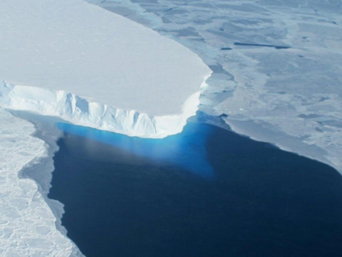 Des scientifiques s'alarment de l' Des scientifiques s'alarment de l'