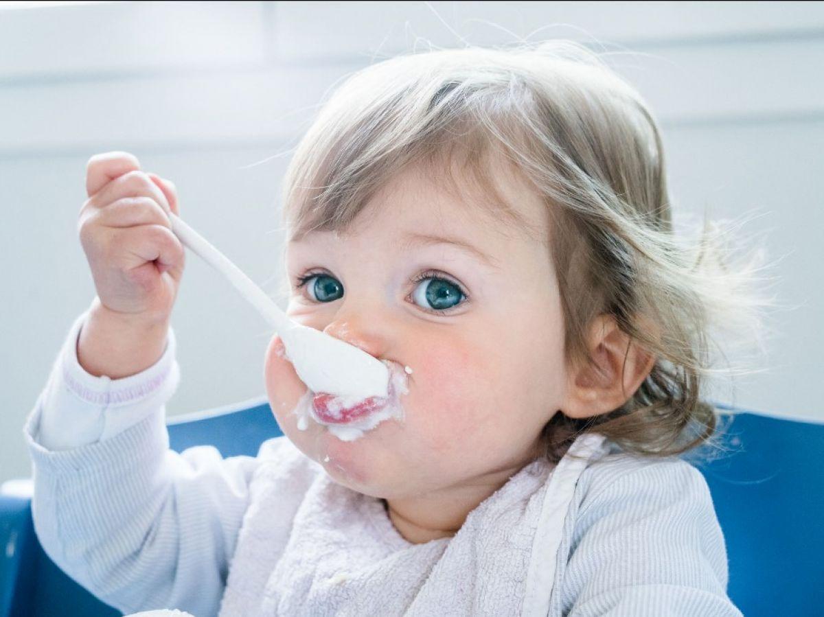 Comment choisir des aliments sains pour bébés en évitant additifs, sucres et arômes ? Comment choisir des aliments sains pour bébés en évitant additifs, sucres et arômes ?