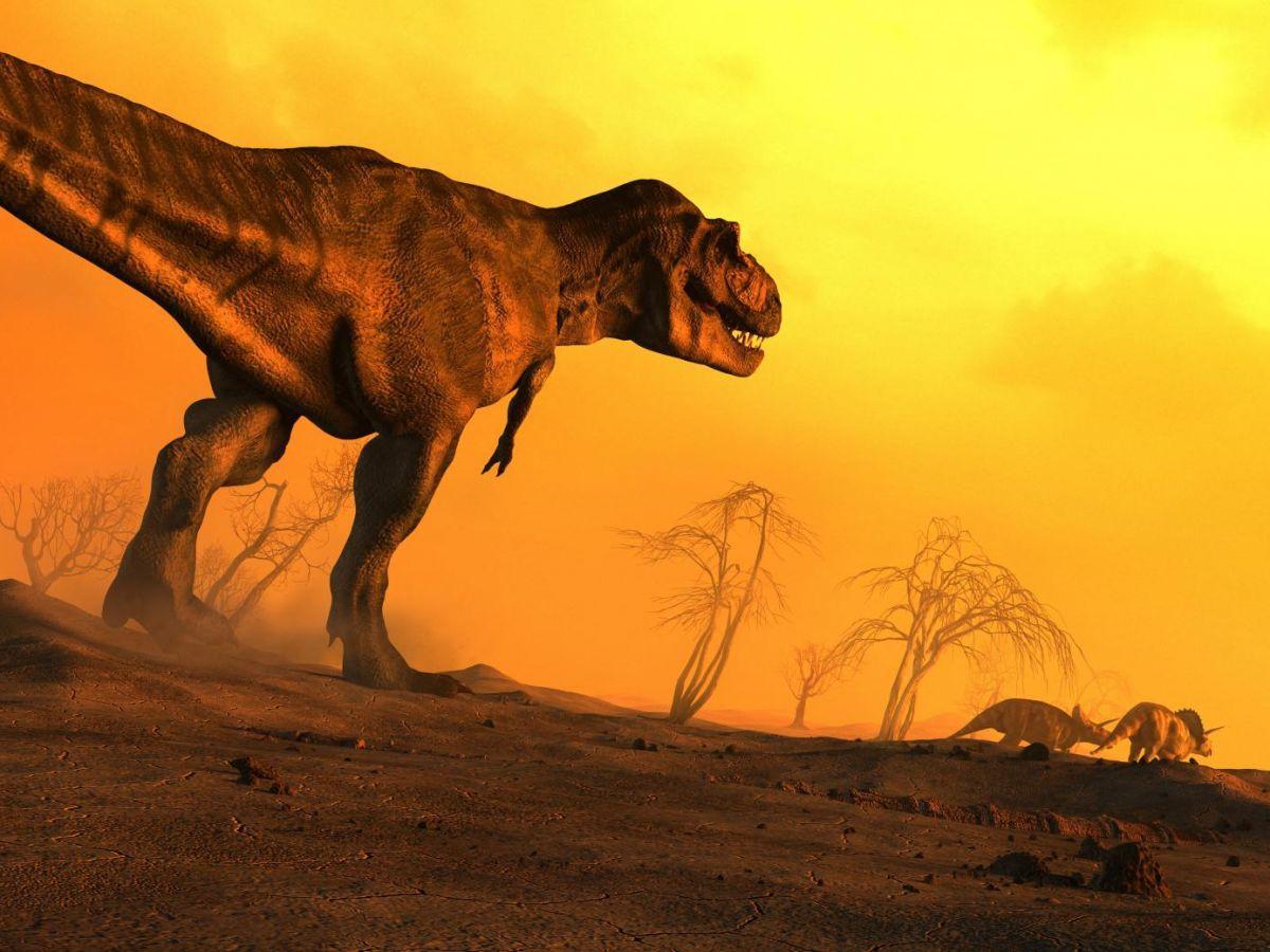 La poussière de silicate fatale aux dinosaures ? La poussière de silicate fatale aux dinosaures ?