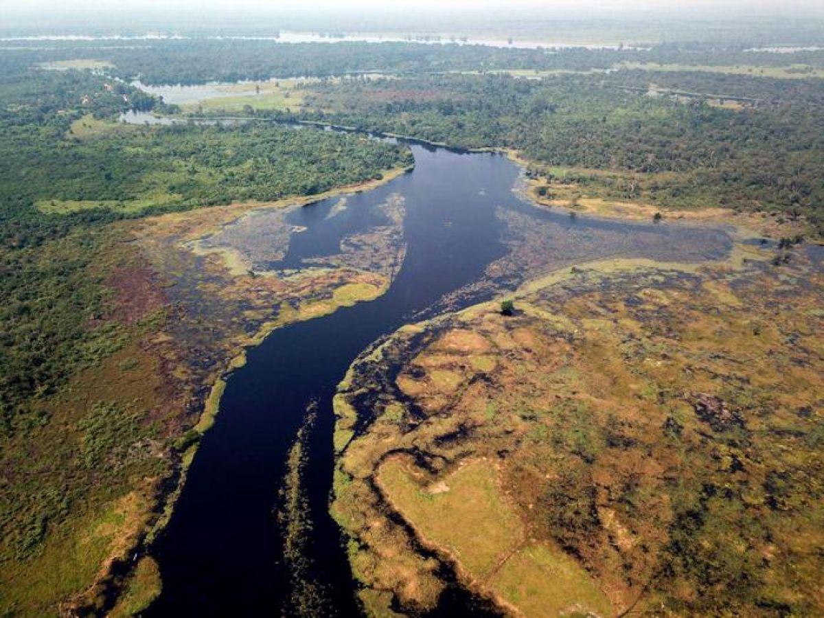 On sait pourquoi le Ruki est la rivière la plus sombre au monde On sait pourquoi le Ruki est la rivière la plus sombre au monde