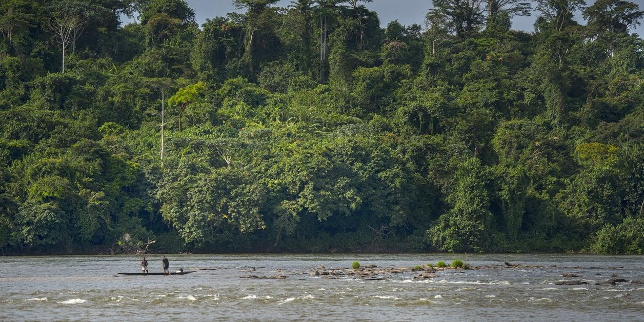 Développement ou climat ? Le dilemme vert de l’Afrique Développement ou climat ? Le dilemme vert de l’Afrique