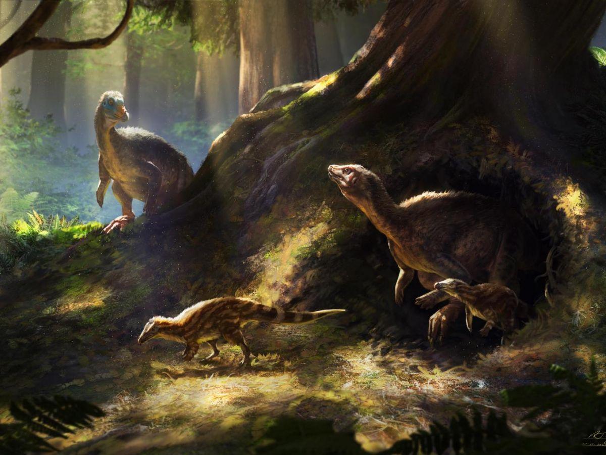 Des dinosaures capables de vivre sous terre ? Un comportement potentiellement inédit Des dinosaures capables de vivre sous terre ? Un comportement potentiellement inédit