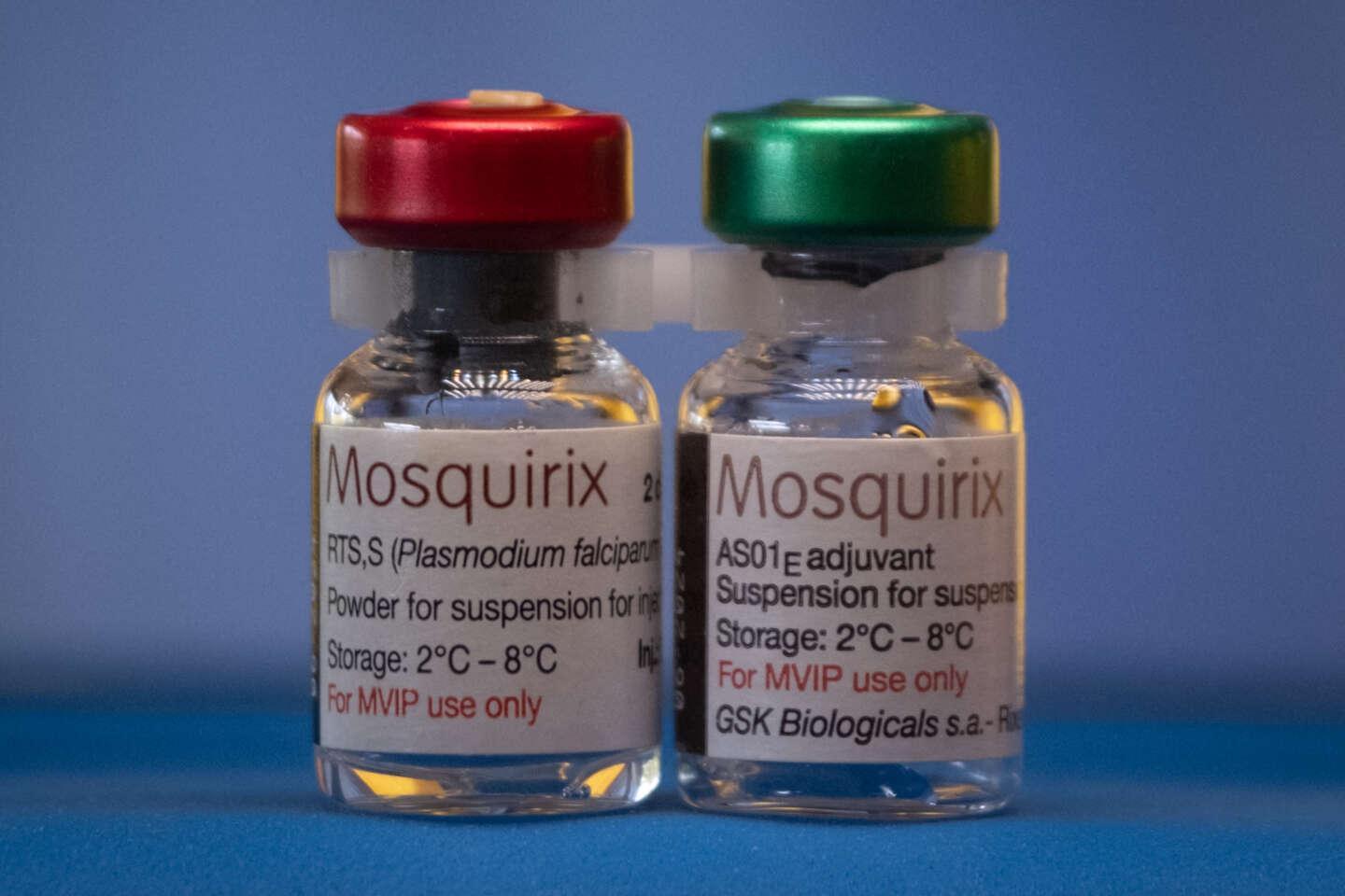 Paludisme : la vaccination à grande échelle en Afrique « va bientôt commencer », affirme l’Alliance du vaccin Paludisme : la vaccination à grande échelle en Afrique « va bientôt commencer », affirme l’Alliance du vaccin