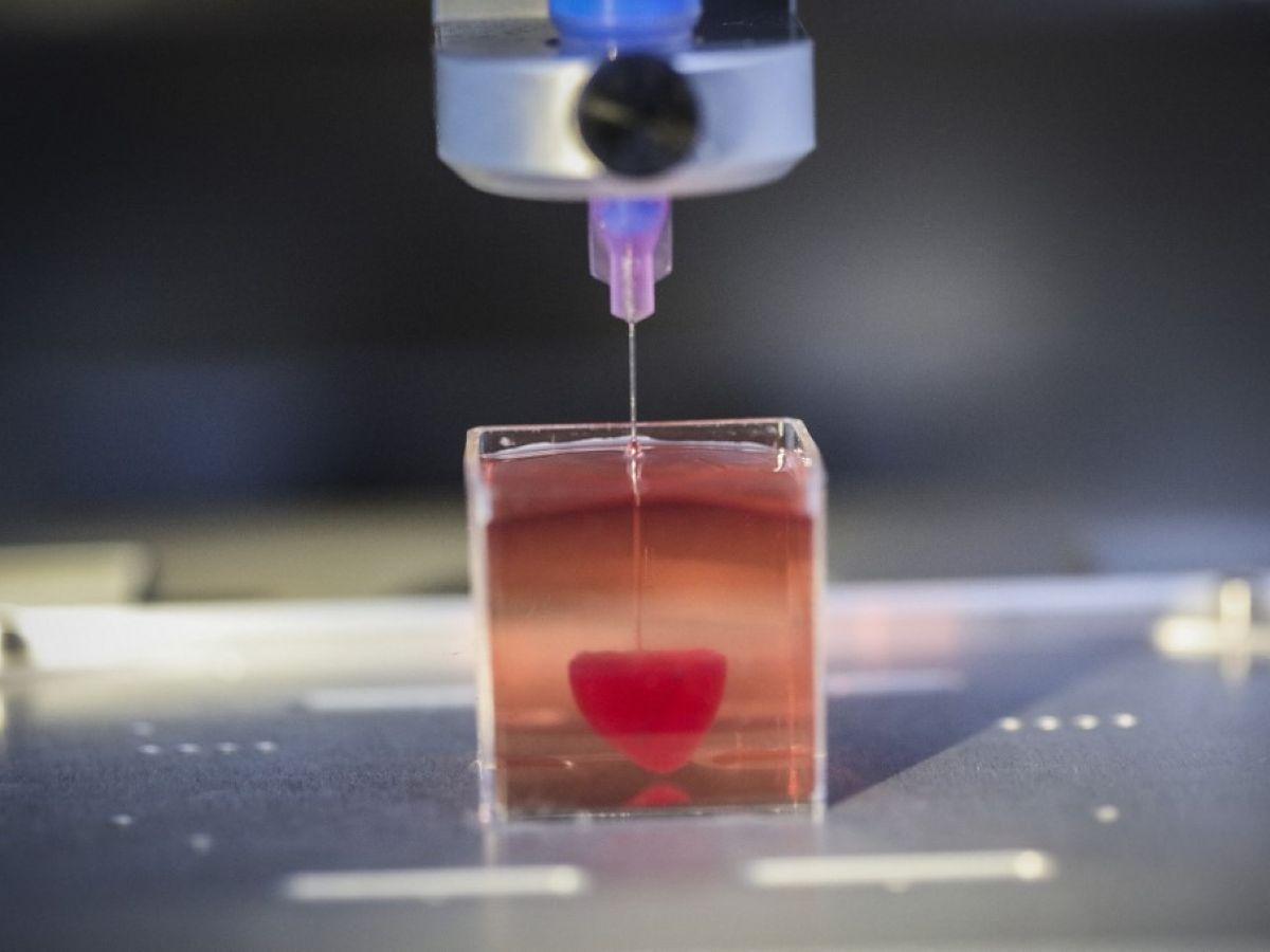 Le défi de la bioimpression 3D Le défi de la bioimpression 3D
