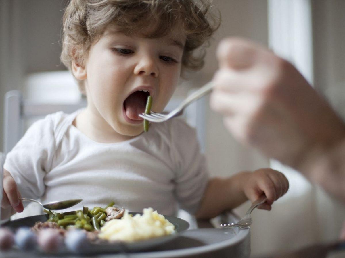 Découverte : comment nos papilles gustatives dictent notre appétit Découverte : comment nos papilles gustatives dictent notre appétit