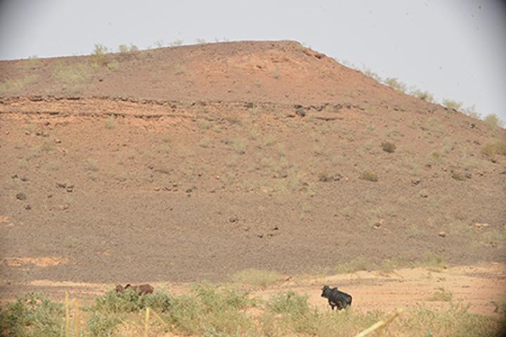 Cultures de contre-saison et pisciculture à Niamey : Les populations tentent autant qu’elles peuvent d’exploiter les potentiels Cultures de contre-saison et pisciculture à Niamey : Les populations tentent autant qu’elles peuvent d’exploiter les potentiels