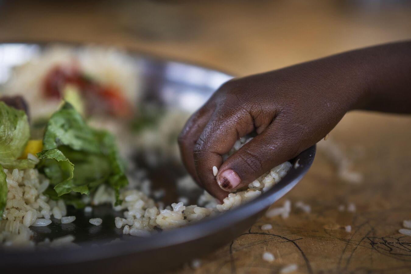 En Afrique, plus de 280 millions de personnes sous-alimentées en 2022 En Afrique, plus de 280 millions de personnes sous-alimentées en 2022