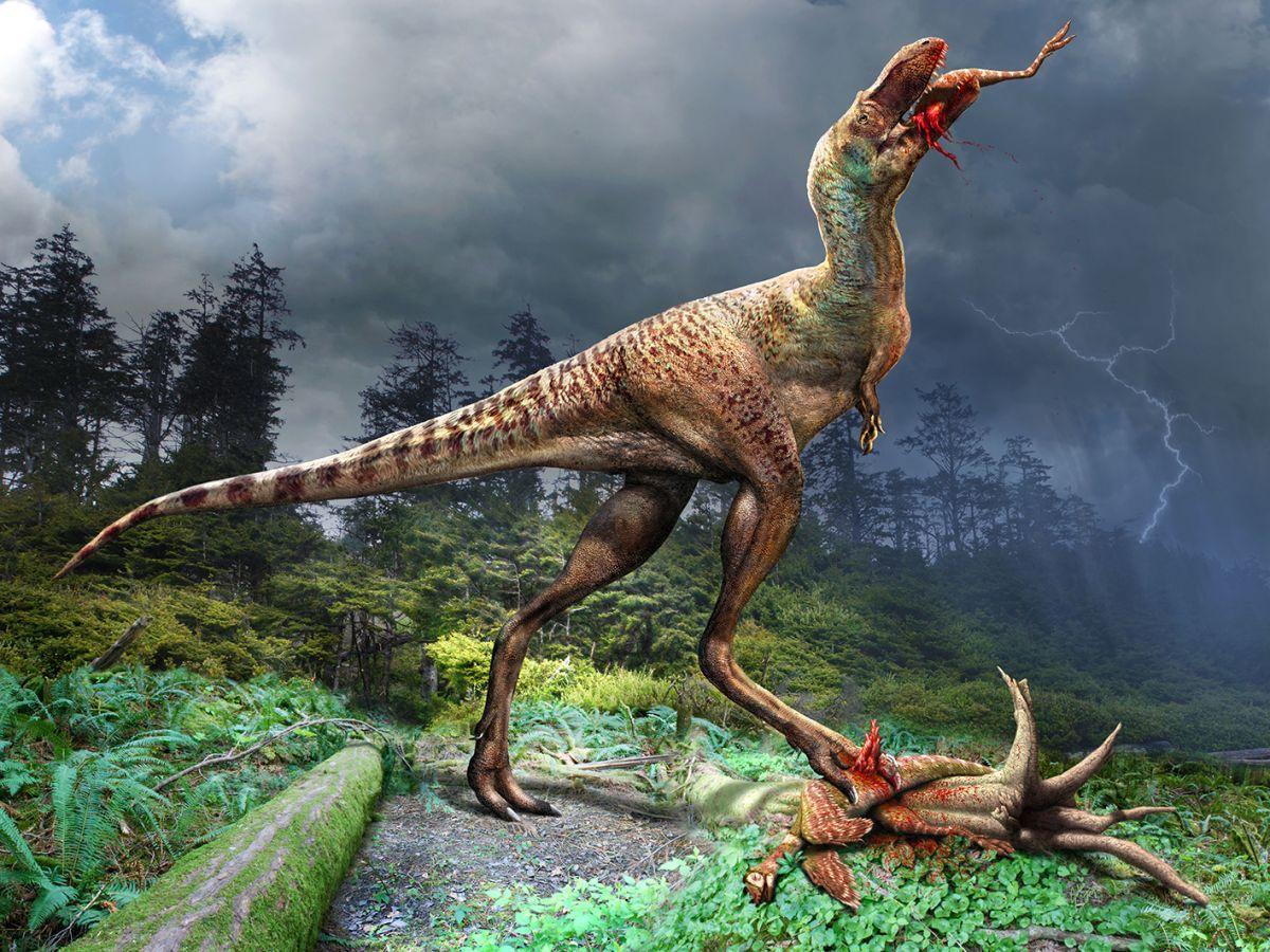 Un exceptionnel fossile renseigne sur le régime alimentaire des jeunes tyrannosaures Un exceptionnel fossile renseigne sur le régime alimentaire des jeunes tyrannosaures